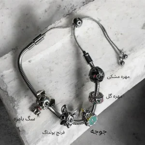 چارم پاندورا سری مهره ۶