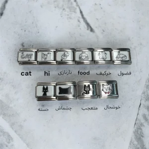 چارم ایتالیایی سری گربه italian charm