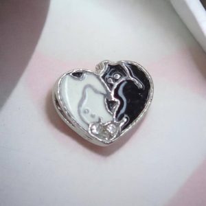 چارم پاندورا  مدل قلب و گربه